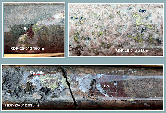 Figure 6 accompanying this news release