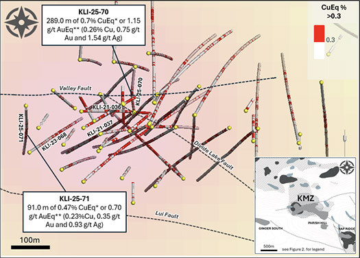 Figure accompanying this news release